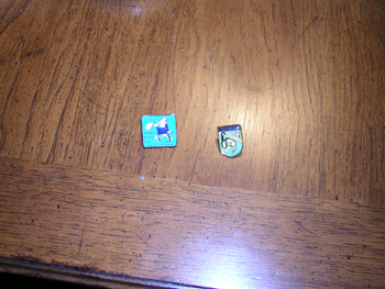 Twit Pins1
